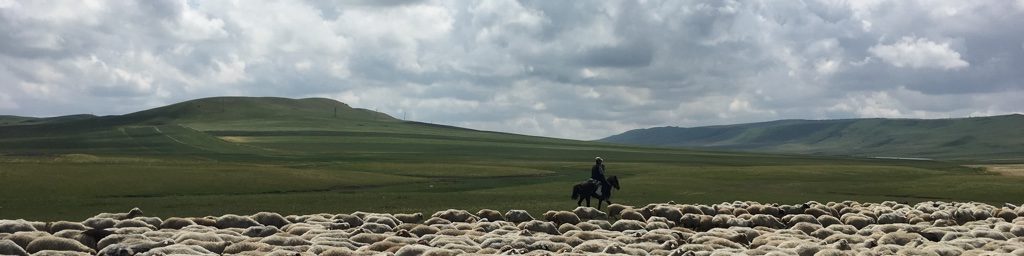 strada per Telavi